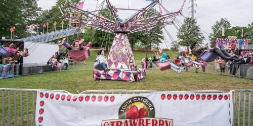 StrawberryFestival-170