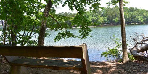 clients-1st-property-group-0013