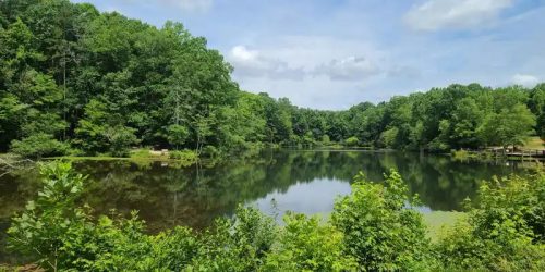 clients-1st-property-group-0029