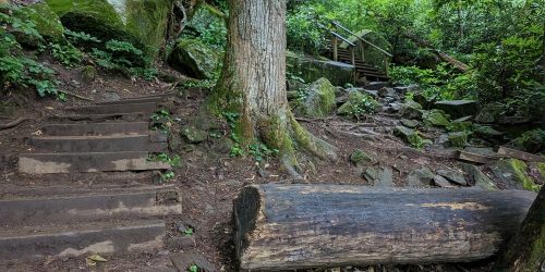 clients-1st-property-group-028